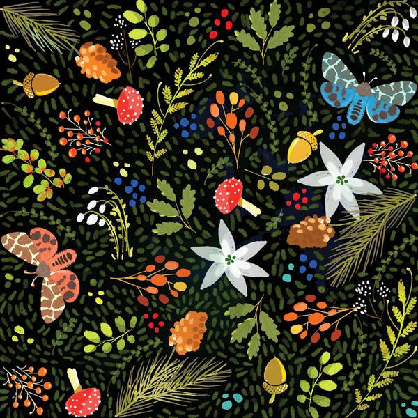 Thomas Little: Fall Flurish by Thomas Little