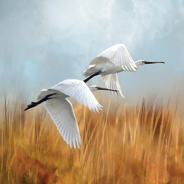 Thomas Little: Spoonbills Ascending by Thomas Little