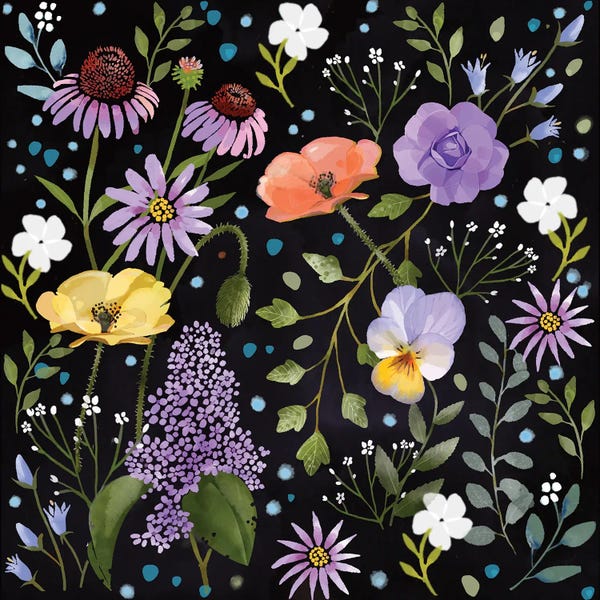 Thomas Little: Spring Botanicals by Thomas Little