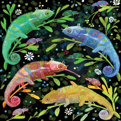 Colorful Chameleons by Thomas Little canvas print