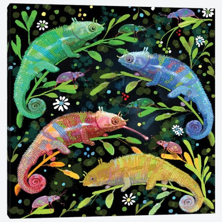 Colorful Chameleons Canvas Print #TLT175} by Thomas Little Canvas Wall Art