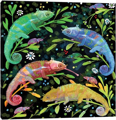 Colorful Chameleons Canvas Art Print - Chameleons