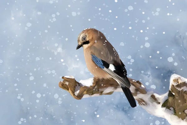 Thomas Little: Spring Snow by Thomas Little