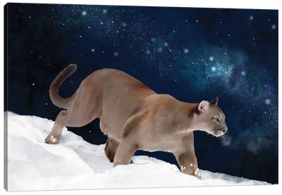 Puma And The Milky Way Canvas Art Print - Milky Way Galaxy Art