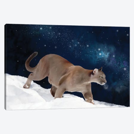 Puma And The Milky Way Canvas Print #TLT179} by Thomas Little Art Print