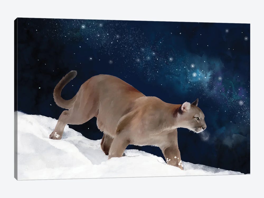 Puma And The Milky Way by Thomas Little 1-piece Canvas Artwork