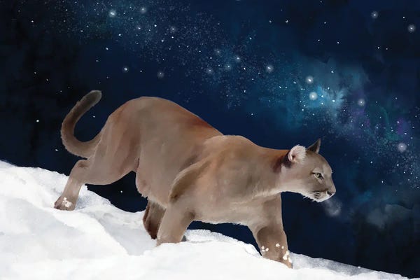 Thomas Little: Puma And The Milky Way by Thomas Little