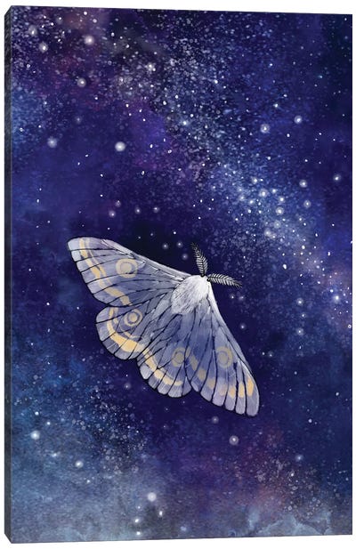 Moth And The Milky Way Canvas Art Print - Milky Way Galaxy Art