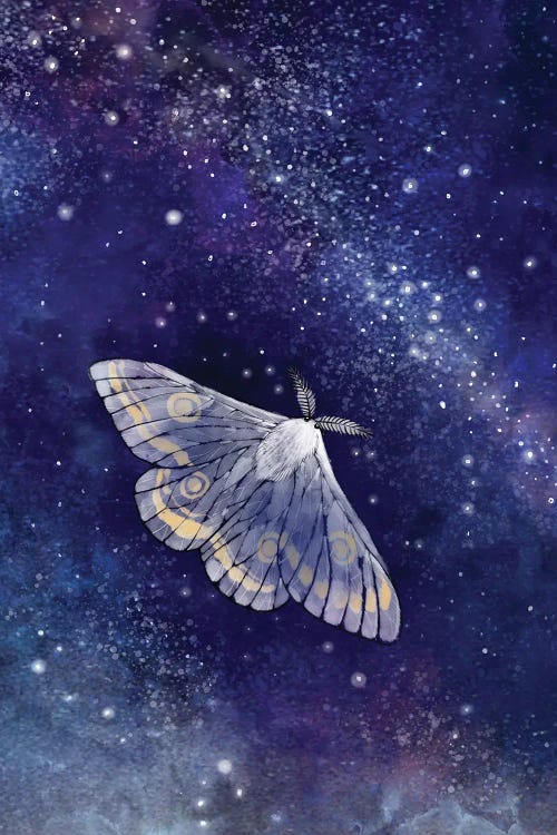 Moth And The Milky Way by Thomas Little wall art