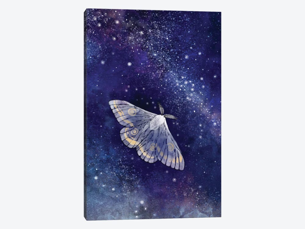 Moth And The Milky Way by Thomas Little 1-piece Canvas Art