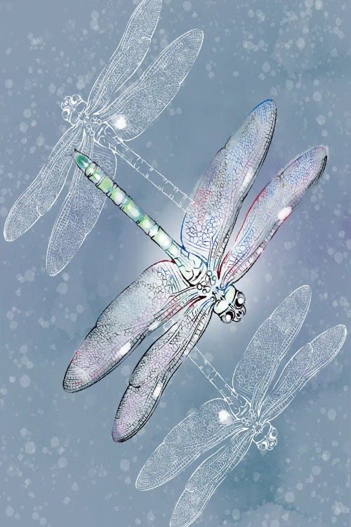 Silver Dragonflies