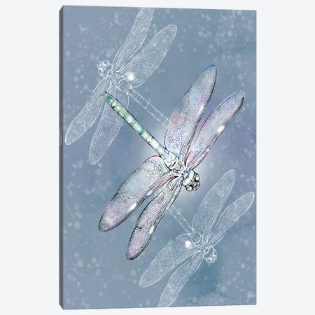 Silver Dragonflies Canvas Print #TLT182} by Thomas Little Canvas Art