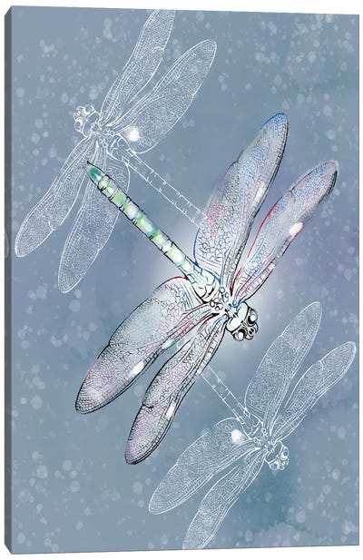 Silver Dragonflies Canvas Art Print - Dragonfly Art