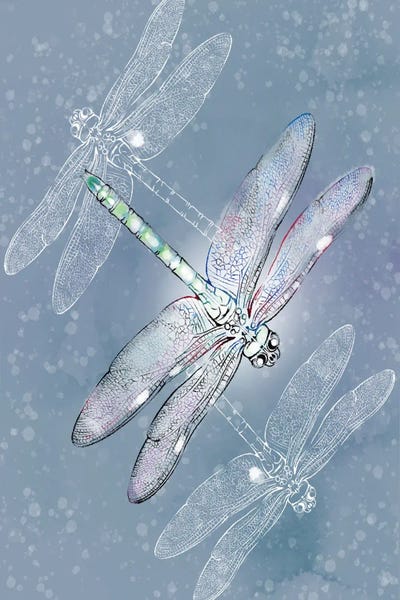 Silver: Silver Dragonflies by Thomas Little