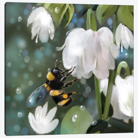 Bee And White Blooms Canvas Print #TLT184} by Thomas Little Art Print