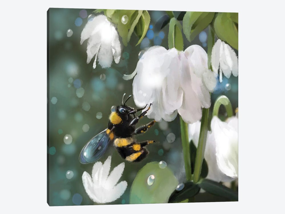 Bee And White Blooms by Thomas Little 1-piece Canvas Art