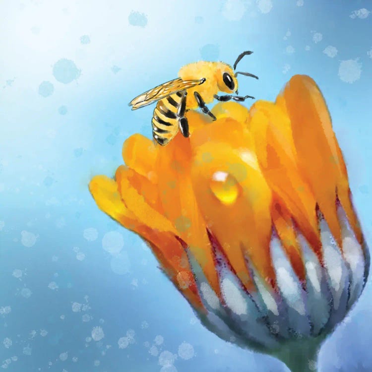 Buzz Pop Bloom by Thomas Little wall art