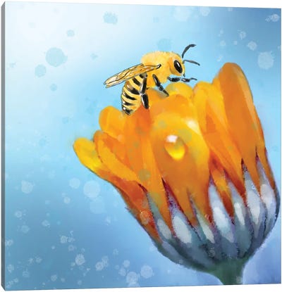 Buzz Pop Bloom Canvas Art Print - Bee Art