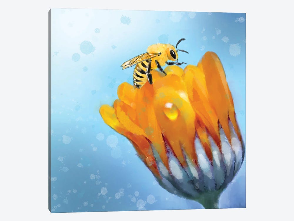 Buzz Pop Bloom by Thomas Little 1-piece Canvas Print