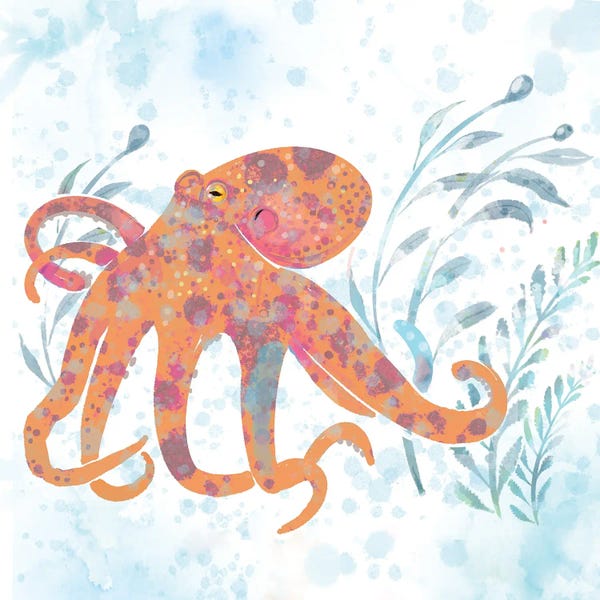 Octopi: Catalina Octopus Orange by Thomas Little