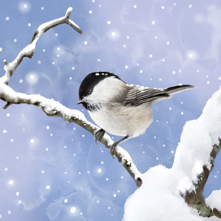 Late Spring Snow by Thomas Little wall art