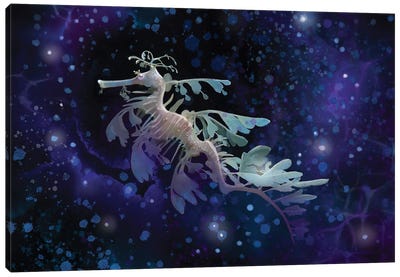 Leafy Sea Dragon In The Multiverse Canvas Art Print - Indigo Art