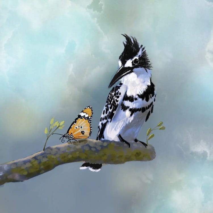 Pied Fisher And Butterfly