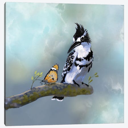 Pied Fisher And Butterfly Canvas Print #TLT196} by Thomas Little Canvas Art