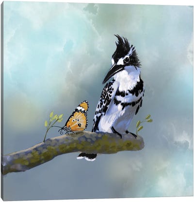 Pied Fisher And Butterfly Canvas Art Print - Thomas Little