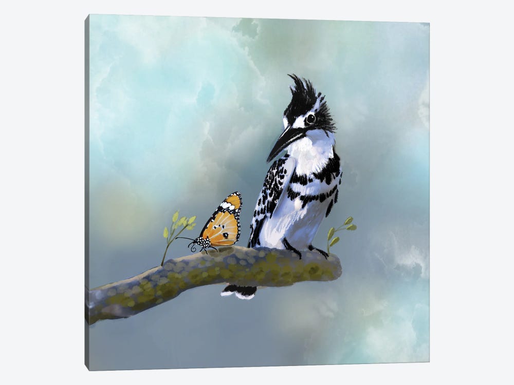 Pied Fisher And Butterfly by Thomas Little 1-piece Canvas Art Print