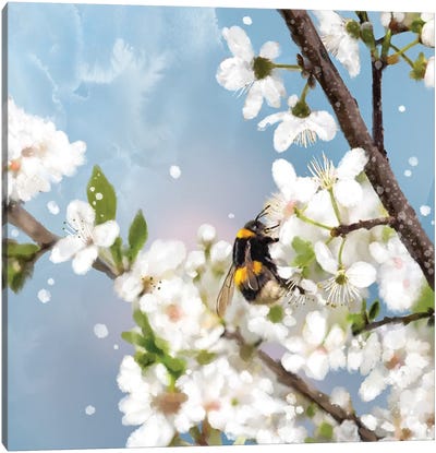 Spring Blossom Bounty Canvas Art Print - Thomas Little