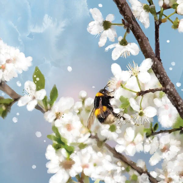 Bees: Spring Blossom Bounty by Thomas Little