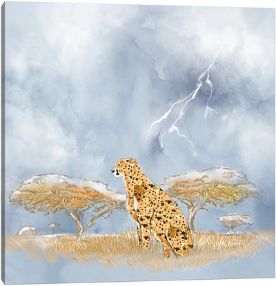 African Rain Canvas Art Print - Cheetah Art