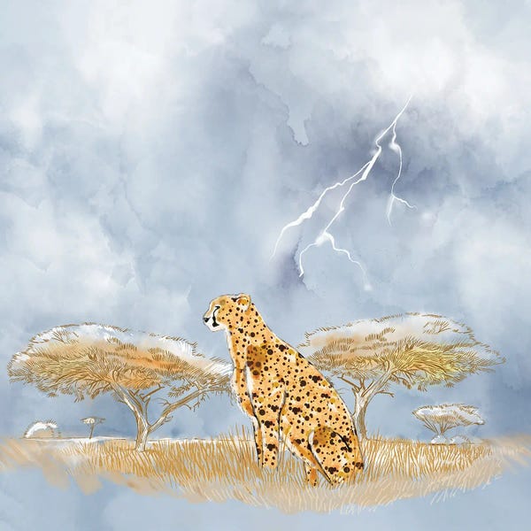 Cheetahs: African Rain by Thomas Little