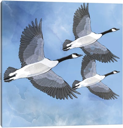 O Canada Canvas Art Print - Goose Art