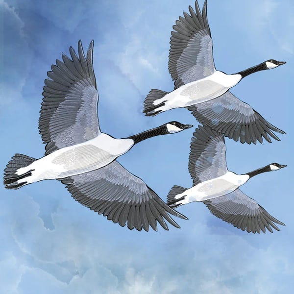 Canada: O Canada by Thomas Little