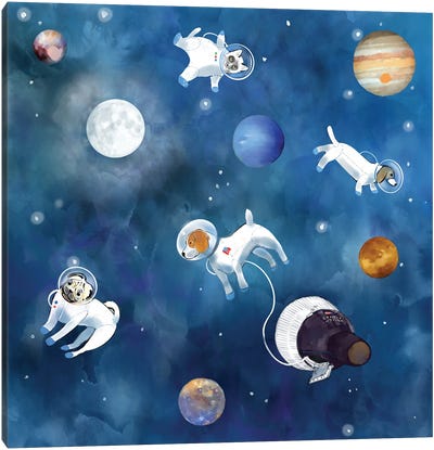 Space The Final Frontier Canvas Art Print - Planet Art