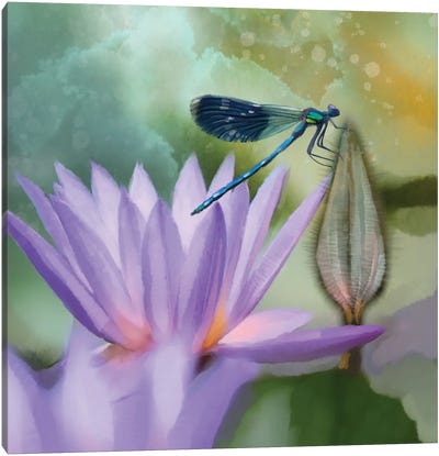 Lilly And Damselfly Canvas Art Print - Nature Lover