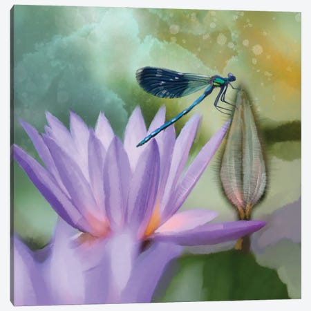 Lilly And Damselfly Canvas Print #TLT206} by Thomas Little Canvas Artwork