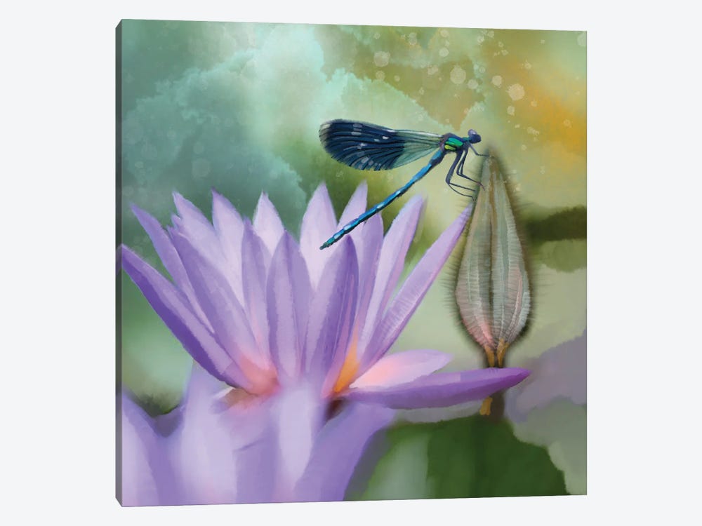 Lilly And Damselfly by Thomas Little 1-piece Canvas Wall Art