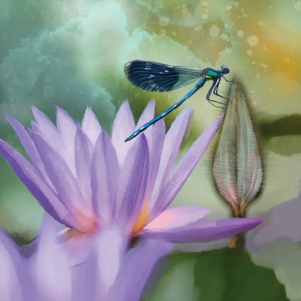 Dragonflies: Lilly And Damselfly by Thomas Little