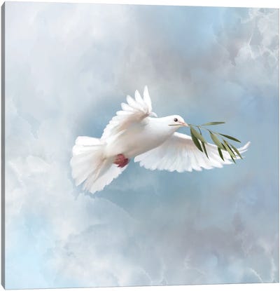 Need For World Peace Canvas Art Print - Dove & Pigeon Art