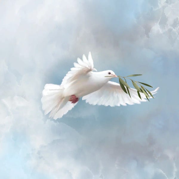 Doves & Pigeons: Need For World Peace by Thomas Little
