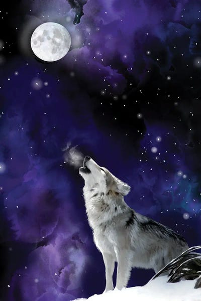 Thomas Little: Moon Attraction by Thomas Little