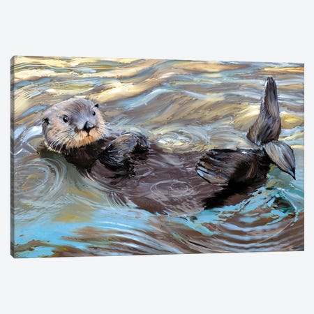 Sunrise Sea Otter Canvas Print #TLT211} by Thomas Little Canvas Art