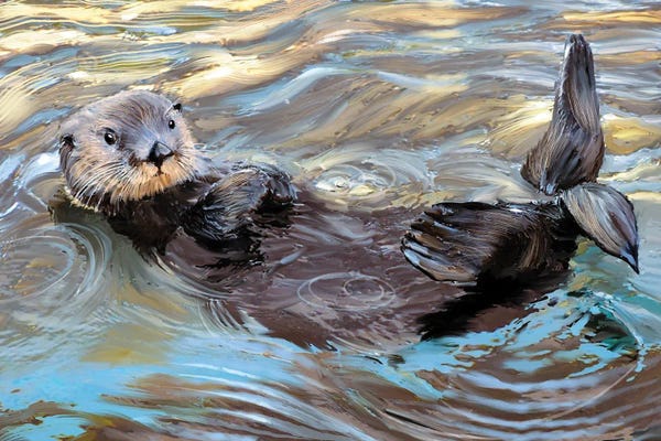 Otters: Sunrise Sea Otter by Thomas Little