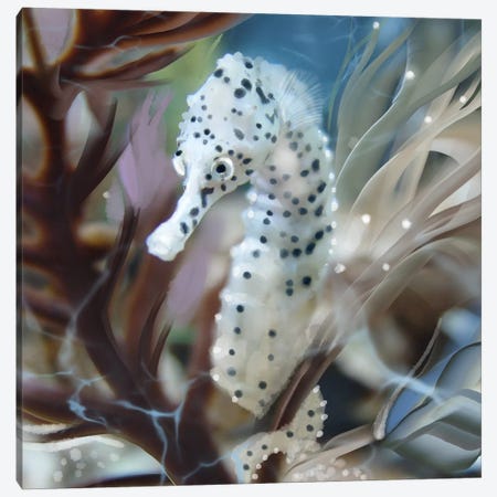 Seahorse In The Surge Canvas Print #TLT212} by Thomas Little Canvas Art