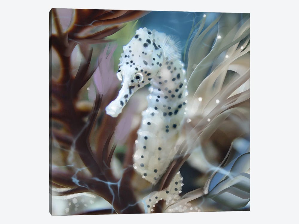 Seahorse In The Surge by Thomas Little 1-piece Canvas Art Print