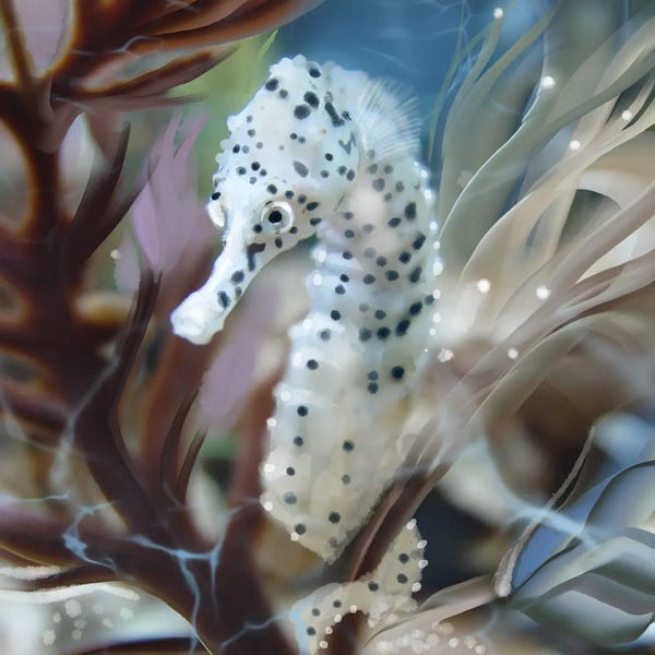 Thomas Little: Seahorse In The Surge by Thomas Little