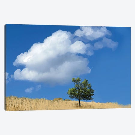 Perfect Sky Perfect Day Canvas Print #TLT215} by Thomas Little Canvas Print